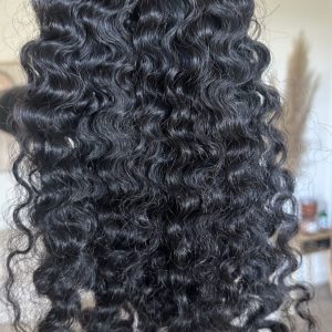 Burmese curl